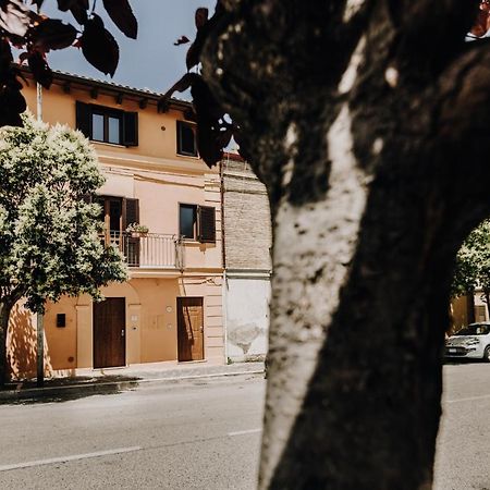 B&B La Cicala Vasto Exterior photo